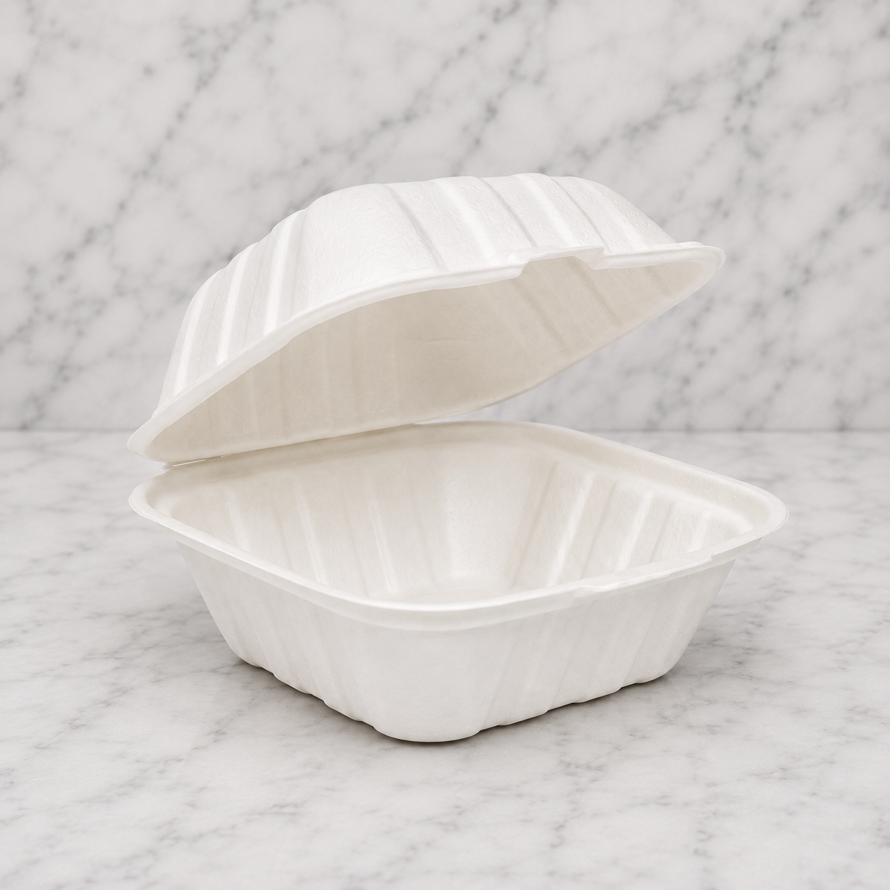 Plastic Takeout Containers 6x6 (250 Ct)