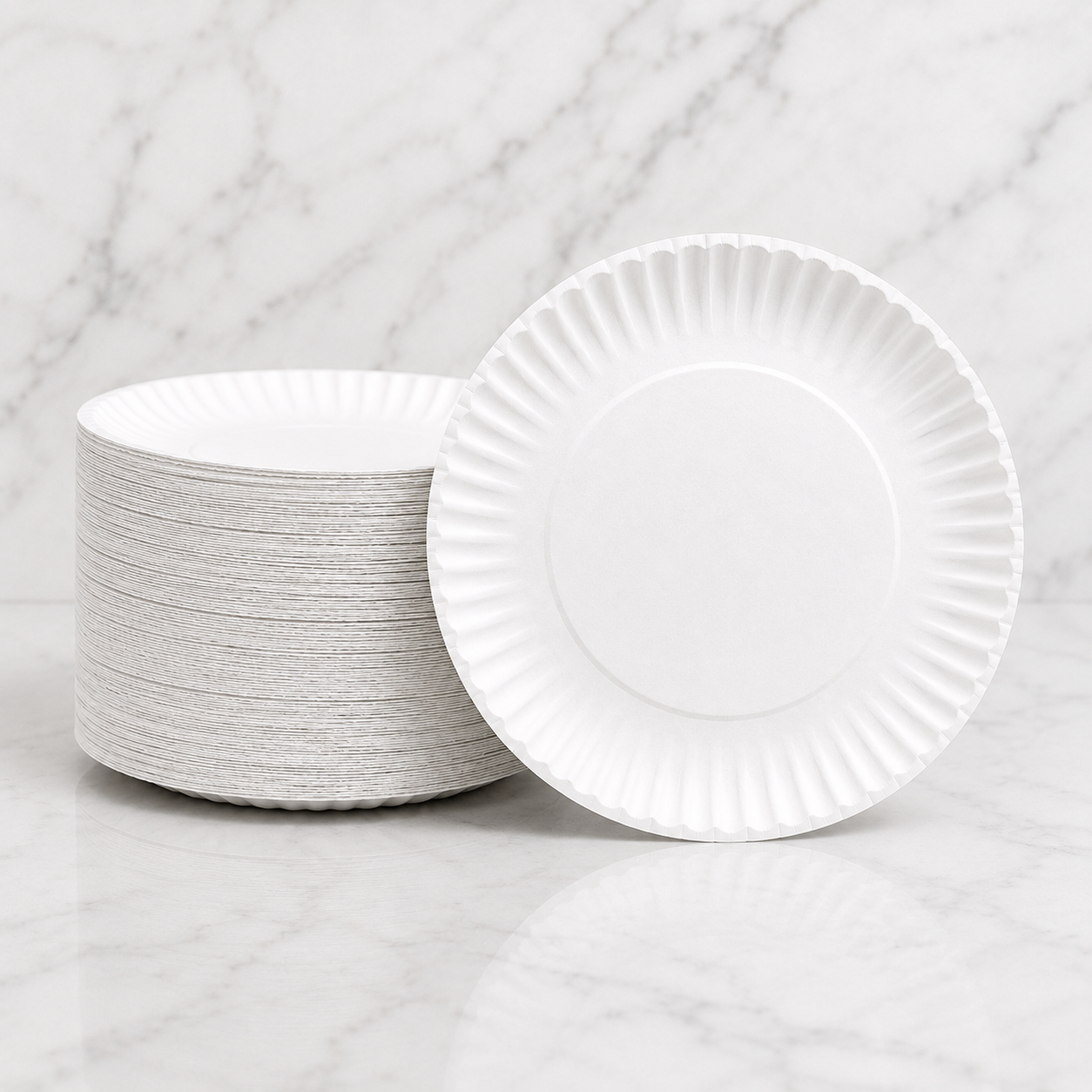 Disposable Paper Plates 9" (300 Ct)