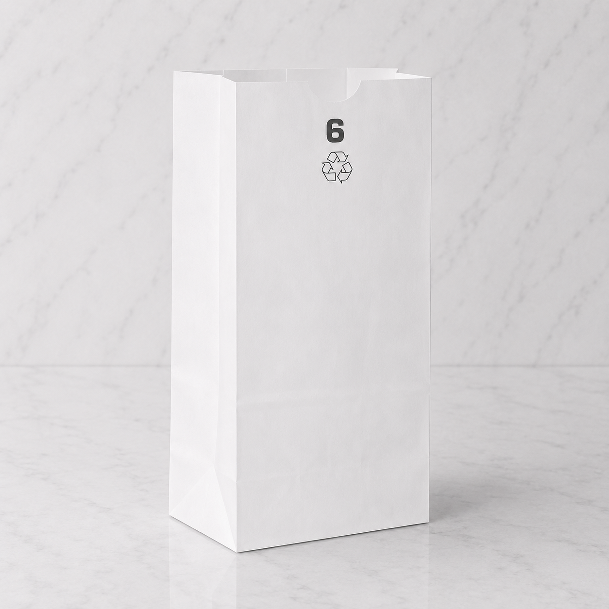 White Kraft Paper Bags #6 (500 Ct)